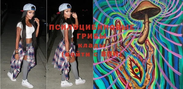 ECSTASY Краснослободск