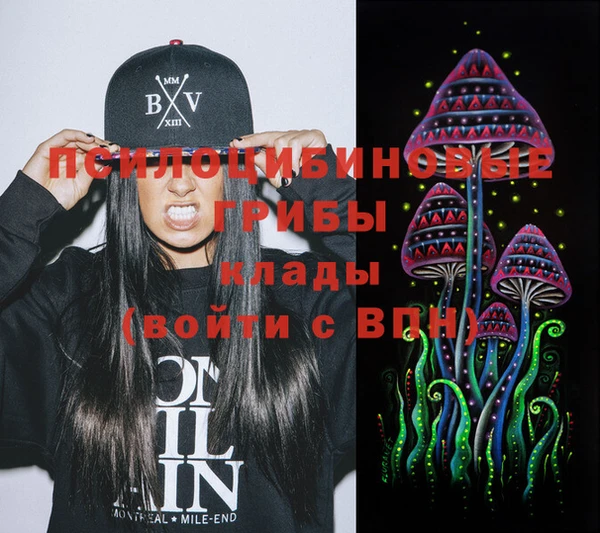 ECSTASY Краснослободск