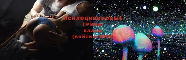 альфа пвп Корсаков