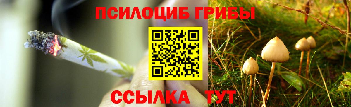 Псилоцибиновые грибы мицелий  Вход с VPN  Кубинка 